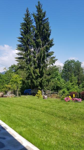 Booking Holiday House Lake Orta Ferien Ferienhaus Haus am Ortasee Maison Vacances lac Orta Casa affitto lago d'orta Naturferien Boleto Madonna del Sasso Alzo Pella Orta San Giulio Isola Arto Centonara Villetta Casa Bellavista #ferienhaus zu #vermieten #vermietung #zuvermieten #haus #ferien #holiday #holidayhouse #house #relax #natur #lakeorta #travel #nature #italy #booking #ortasee #lake #orta #ortalake #italien #derortasee #sichsein #forest #bike #reisen #trekking #hiking #treking #wandern